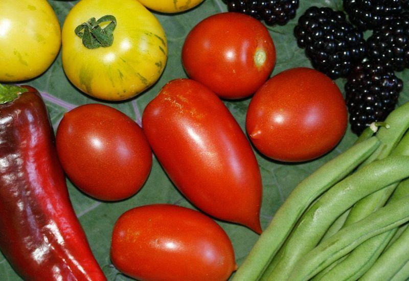 Photo of Tomato (Solanum lycopersicum 'Amish Red') uploaded by DianeSeeds