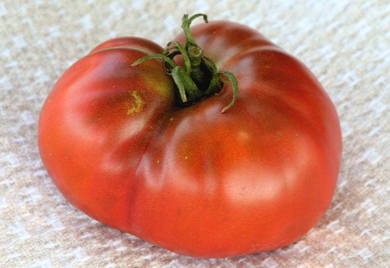 Photo of Tomato (Solanum lycopersicum 'Paul Robeson') uploaded by DianeSeeds