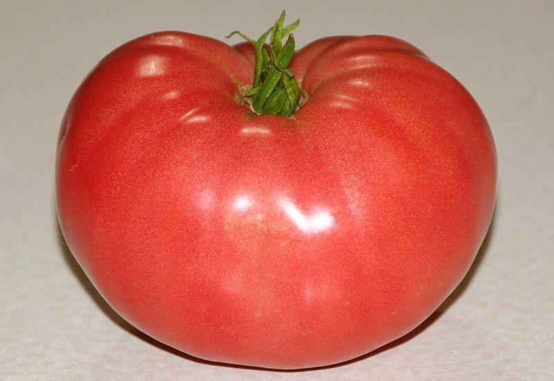 Photo of Tomato (Solanum lycopersicum 'Mortgage Lifter') uploaded by DianeSeeds