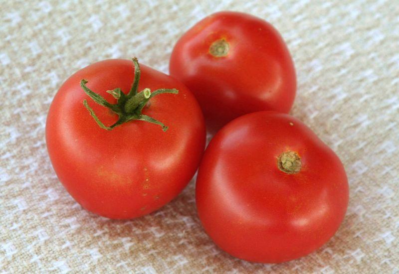 Photo of Tomato (Solanum lycopersicum 'Bulgarian Triumph') uploaded by DianeSeeds