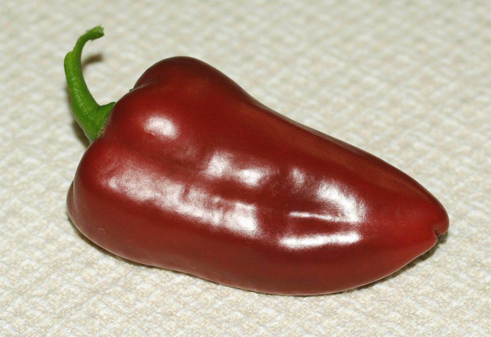 Photo of Sweet Pepper (Capsicum annuum 'Lipstick') uploaded by DianeSeeds
