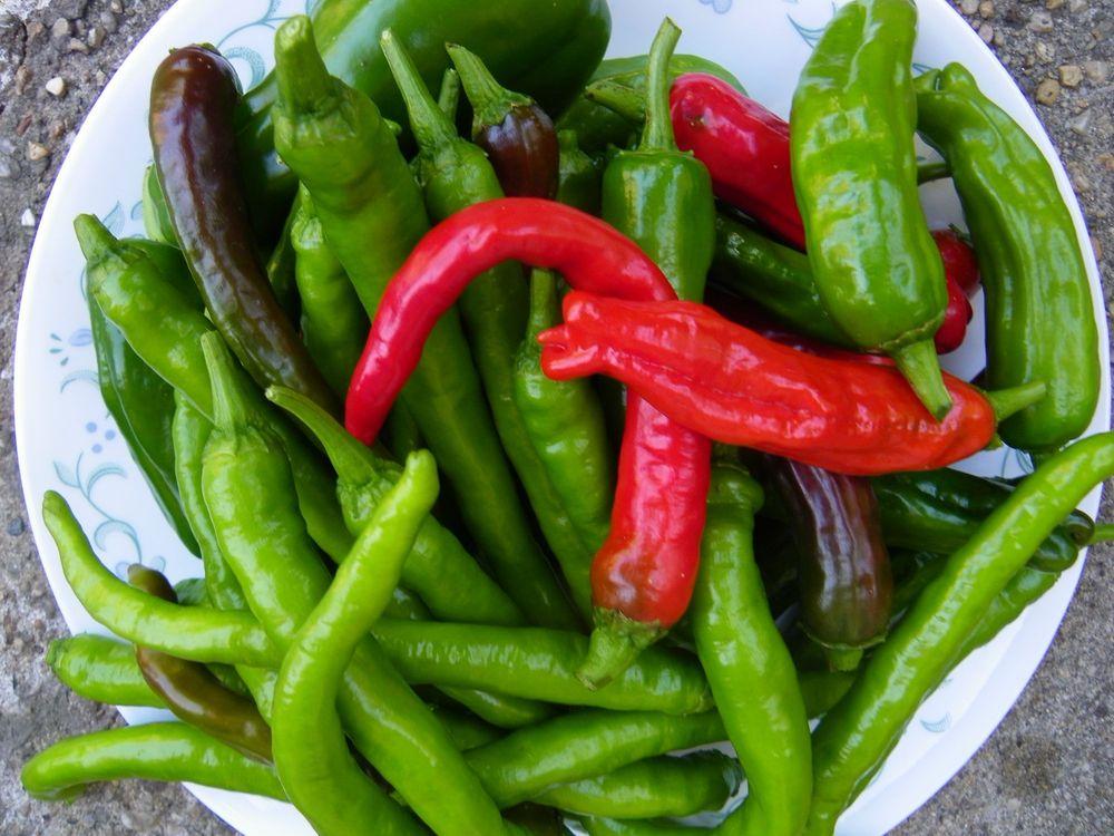 Photo of Peppers (Capsicum) uploaded by Newyorkrita