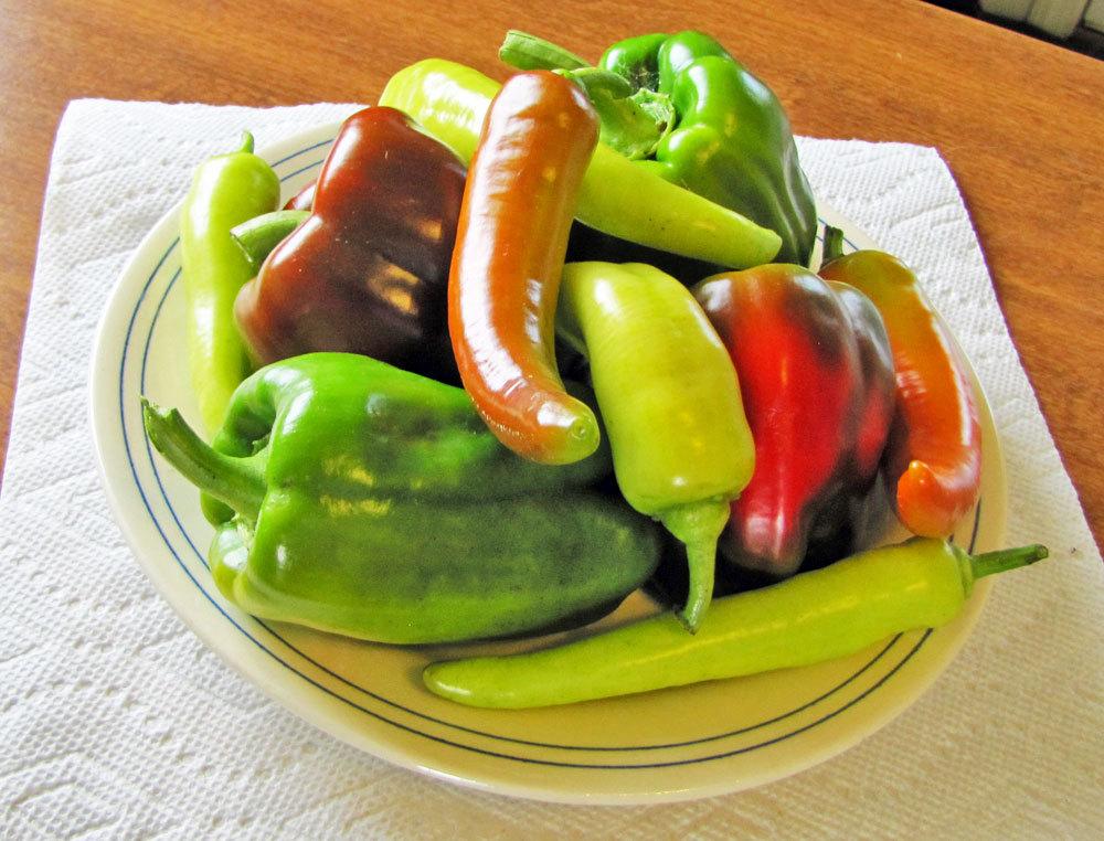 Photo of Peppers (Capsicum) uploaded by TBGDN