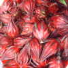 This is a quart of the Roselle calcyes or fruit which will be deh