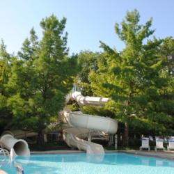 Location: Glen Ellyn, Illinois
Date: 2014-08-13
trees at slide at public swimming pool