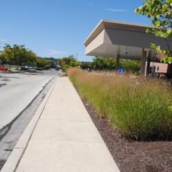 Location: Wayne, Pennsylvania
Date: 2014-09-07
a line of the grass at a bank landscape