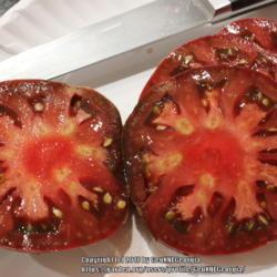 Location: Flowery Branch, GA
Date: 2018-07-10
First tomato - 8-Jun-2018 7.44 oz