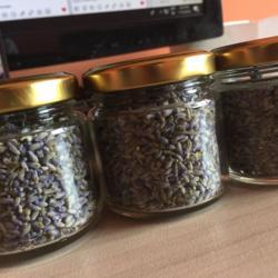Location: Varna
Date: 13.07.2018
English Lavender dried an storaged
