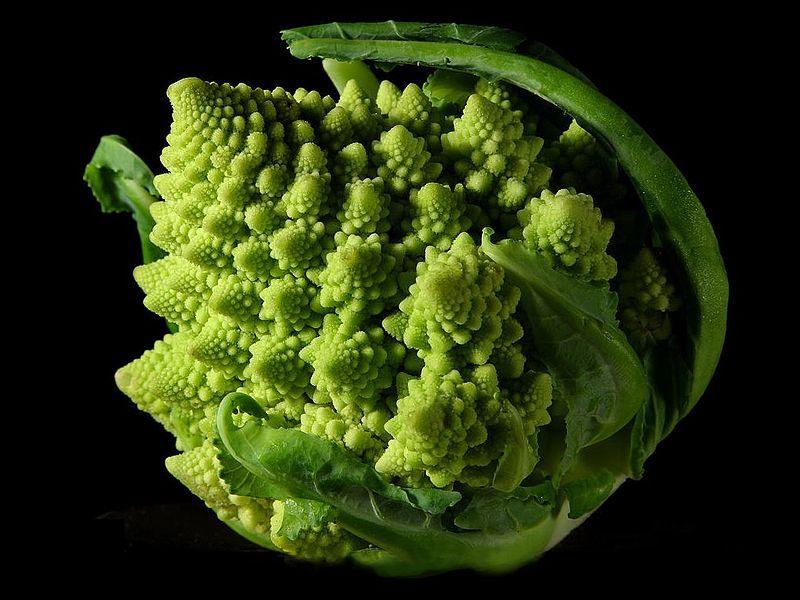 Photo of Cauliflower (Brassica oleracea var. botrytis 'Romanesco') uploaded by SongofJoy