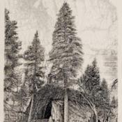 illustration from 'The Garden', June 1872