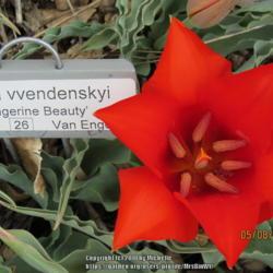 Location: Cheyenne, Wyoming
Date: 2018-05-08
Try to ignore my misspelling of "vvedenskyi" on the ID tag!