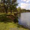 Oaks on the banks of the Neman River