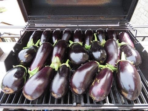 Photo of Eggplant (Solanum melongena 'Classic') uploaded by Green_Go