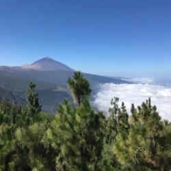 Location: Teide National Park Tenerife Canary Islands
Date: 2018-10-01