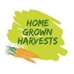 Thumb of 2020-06-16/homegrownharvests/21cfce