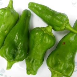 Location: Long Island, NY 
Date: summer 2020
early green peppers