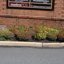 Location: Thorndale, Pennsylvania
Date: 2020-09-05
flower bed around a sign