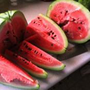 This is the very last watermelon (Citrullus lanatus 'Jubilee') th