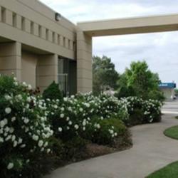 Location: in a jewelry store entry garden in Oklahoma City
Date: 07-1996
Rosa 'White Meidiland'