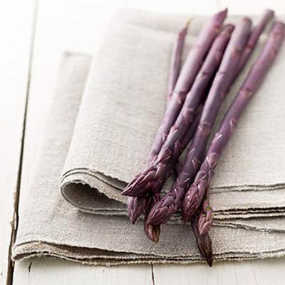 Photo of Asparagus officinalis 'Purple Passion' uploaded by Joy