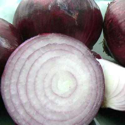 Photo of Red Candy Onion (Allium cepa 'Red Candy Apple') uploaded by Joy