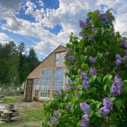 Location: Warren, Vermont
Date: May 19, 2021
New Greenhouse at Lareau Farm