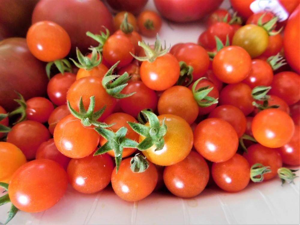 Photo of Tomato (Solanum lycopersicum 'Matt's Wild Cherry') uploaded by wildflowers