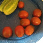 Todays harvest of Black Plum tomatoes