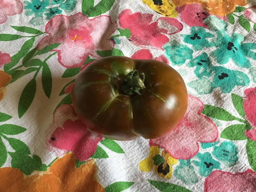 Photo of Tomato (Solanum lycopersicum 'Black Prince') uploaded by gardenfish