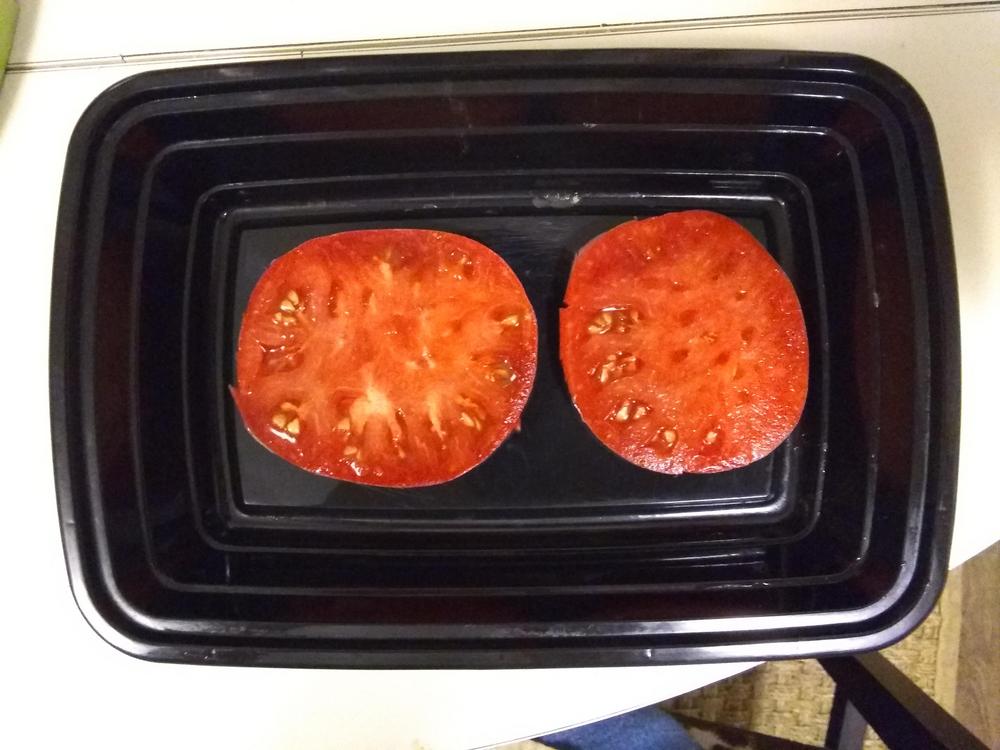 Photo of Tomato (Solanum lycopersicum 'Alpha Pink') uploaded by BetNC