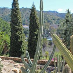 Location: Botanical Garden La Concepcion - Malaga
Date: 2015-03-25