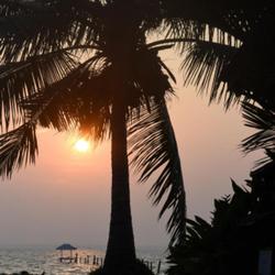 Location: India, Kerala
Date: 2023-03-01
Sunset
