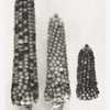 photo from 'Races of Maize in Mexico', published by Harvard Unive