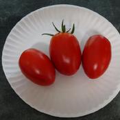 Granadero tomatoes