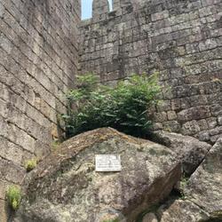 Location: Castelo de Guimarães, Monte Latito, Guimarães, Portugal
Date: 2023-06-06