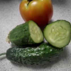 Location: my garden in MD
Date: 2023-07-15
First harvest from patio container.