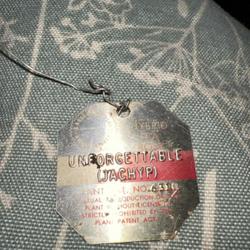 Location: Upper Valley NH
Date: September 2023 Fall
I just found this tag digging in an overgrown bed. I thought some
