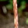 Red striated stem