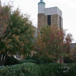 Location: Reding SC gardens in Oklahoma City
Date: 2004-04-10
Holly (Ilex 'Nellie R. Stevens')