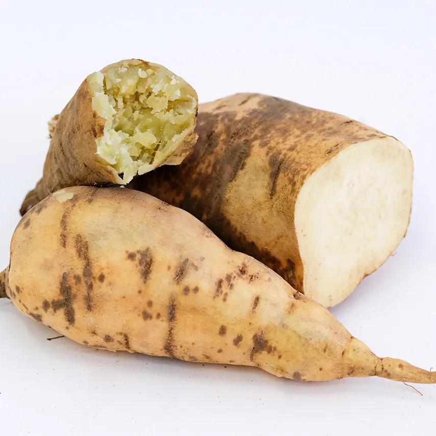 Photo of Sweet Potato (Ipomoea batatas 'Nancy Hall') uploaded by Joy