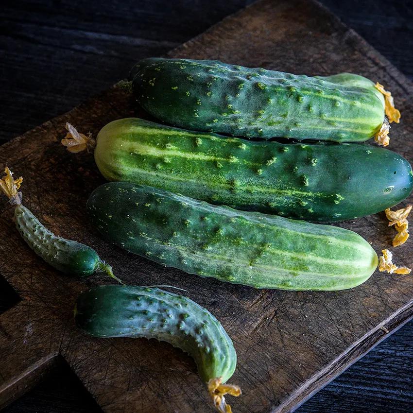 Photo of Cucumber (Cucumis sativus 'Early Fortune') uploaded by Joy