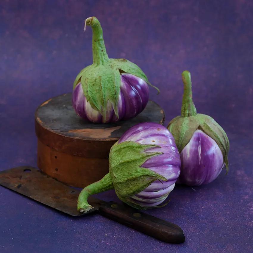 Photo of Eggplant (Solanum melongena 'Rosa Bianca') uploaded by Joy
