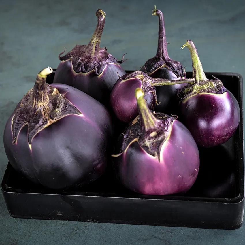 Photo of Eggplant (Solanum melongena 'Kamo') uploaded by Joy