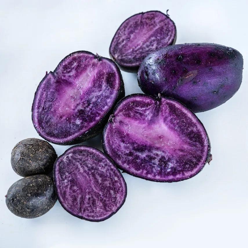 Photo of Potato (Solanum tuberosum 'Purple Majesty') uploaded by Joy