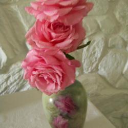 Location: My garden in northeast Texas
Date: 2024-04-24
Trying to duplicate the roses on the handpainted vase